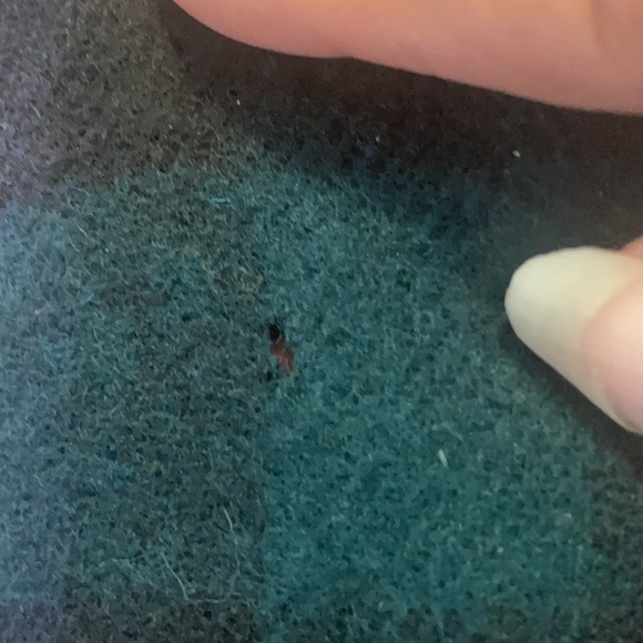 Ralph Lauren Wool Scarf with tiny hioles - Picture 5 of 7